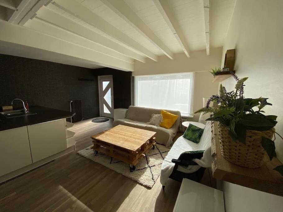 Villa Cosy Beachhouse Within Walking Distance Of The Sea De Haan Exterior foto